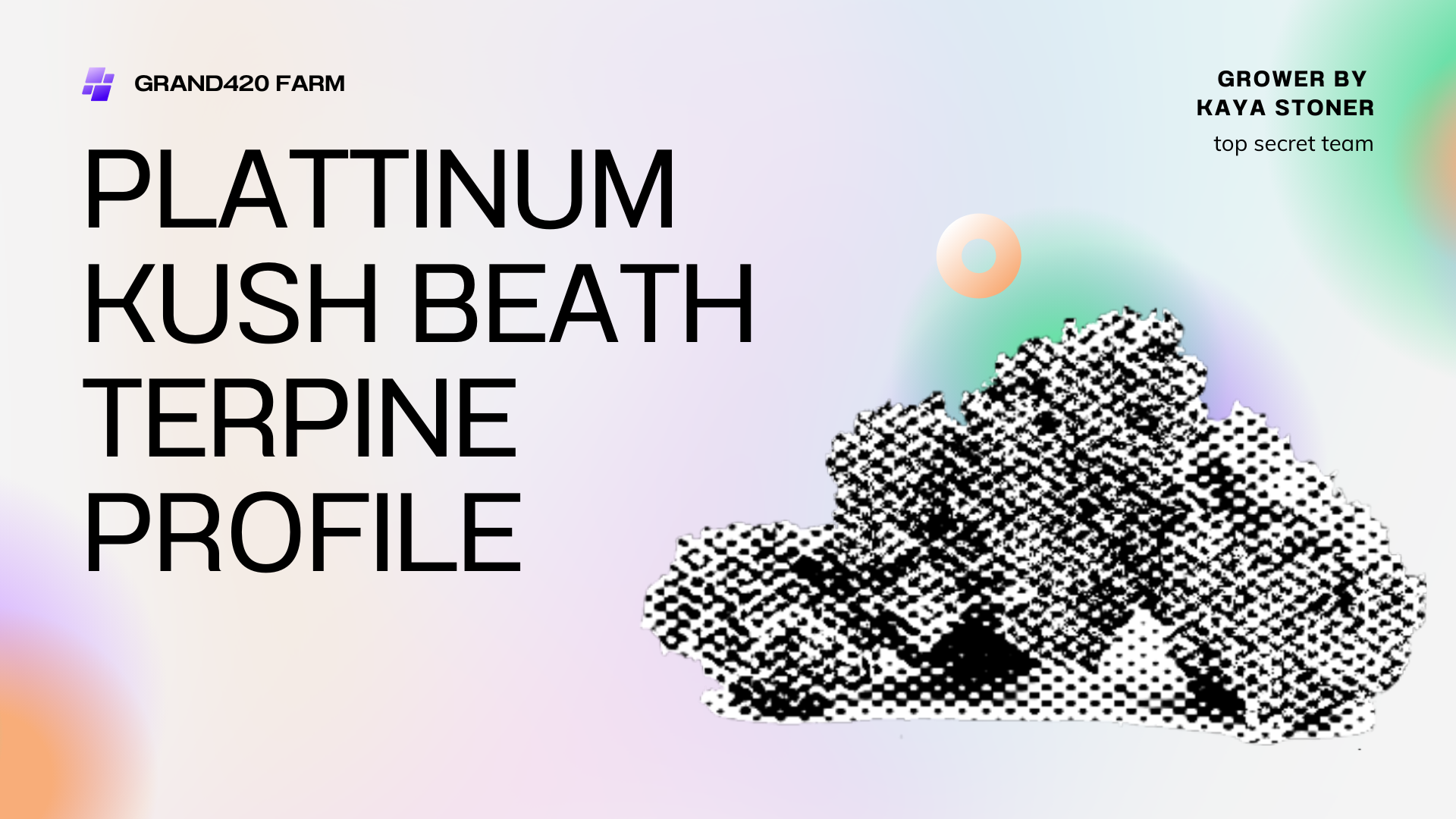 PLATTINUM KVSH BEATH