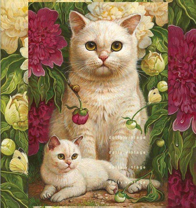 CAT0611 แบบคู่