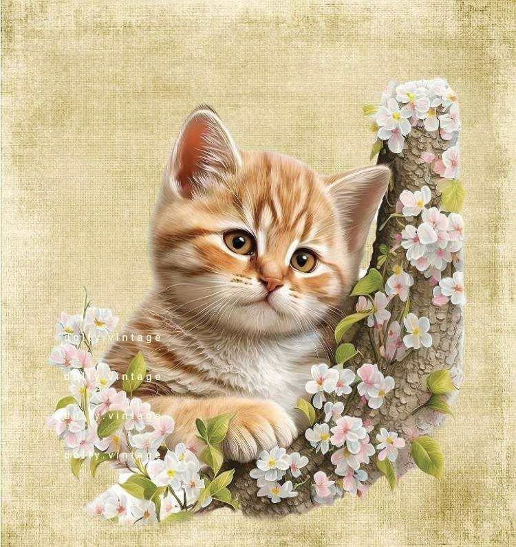CAT0612 แบบคู่