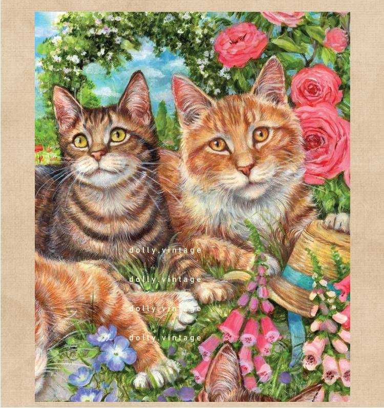 CAT0614 แบบคู่