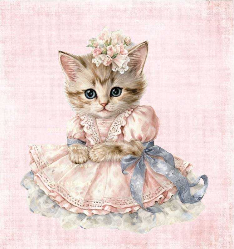 CAT0617 แบบคู่