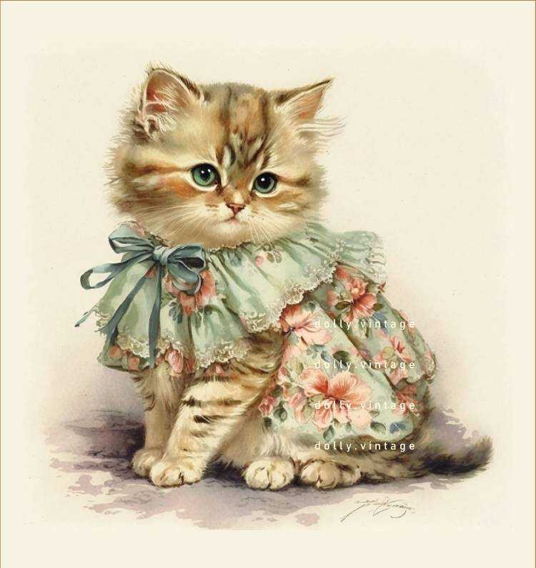 CAT0620 แบบคู่