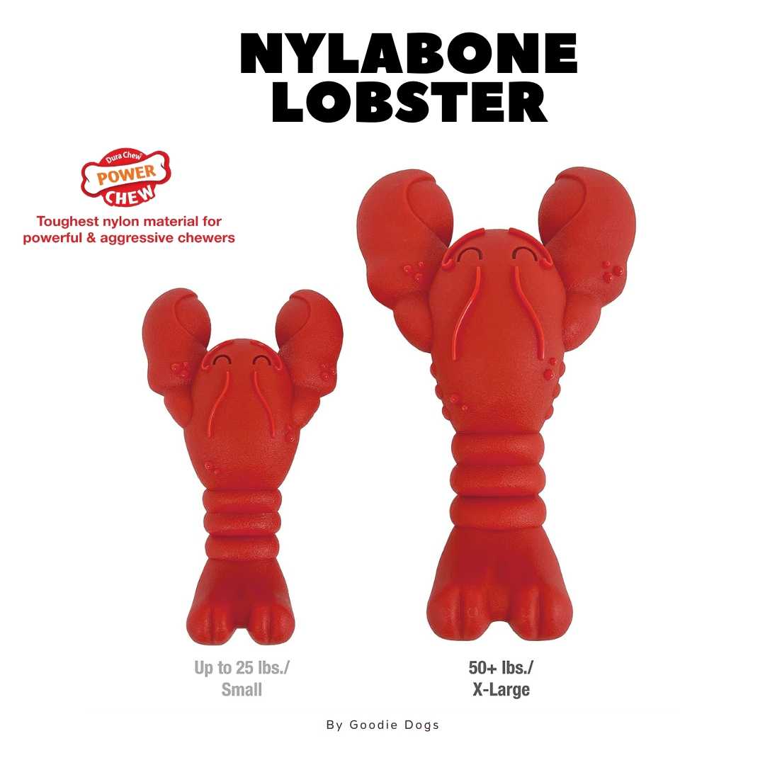 Nylabone Lobster Power Chewers ของเล่นกัดแทะรูปทรงกุ้ง Lobster สินค้านำเข้าโดยร้าน Goodie Dogs