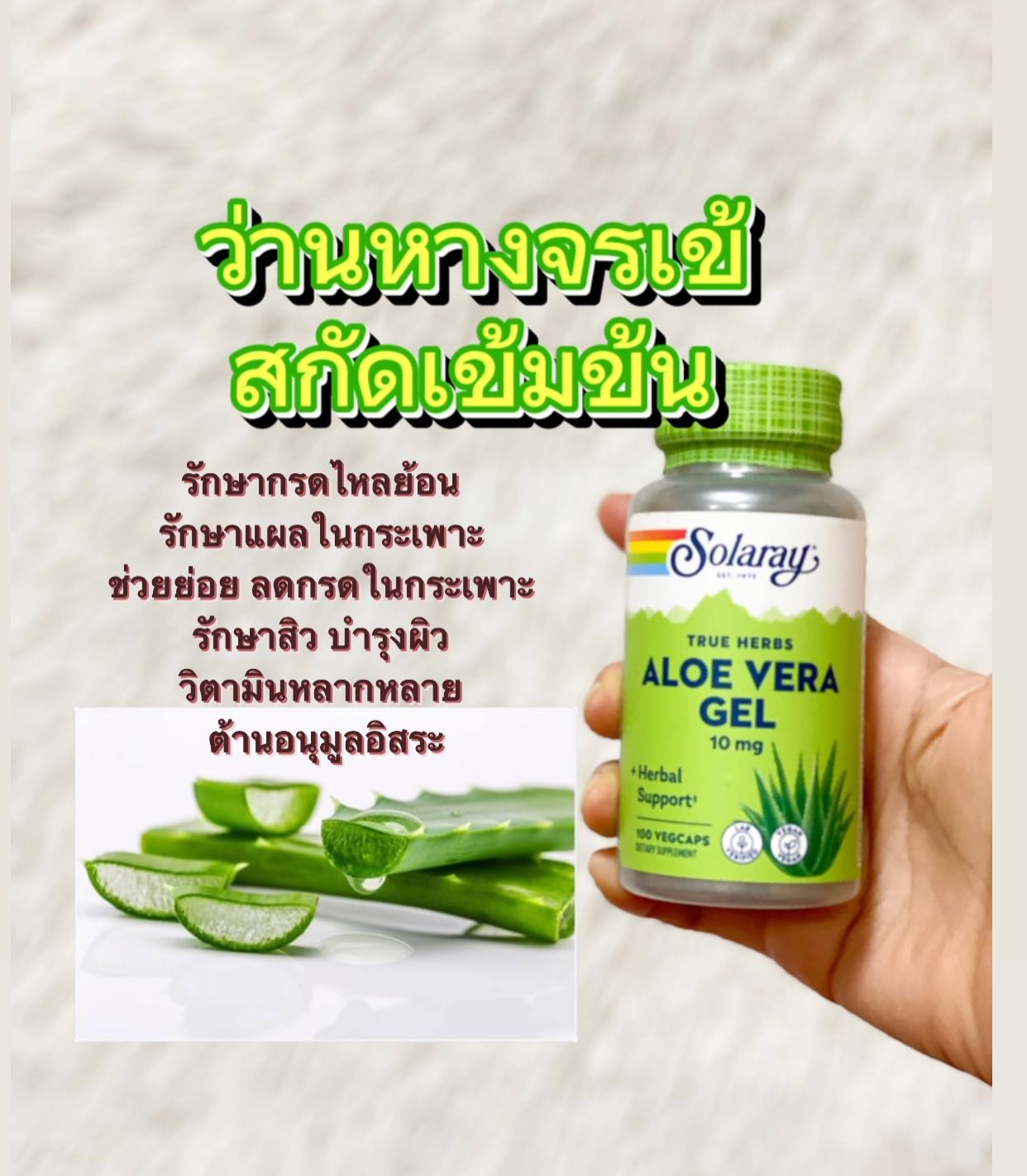 Solaray Aloe Vera Gel Concentrate 100 VegCaps