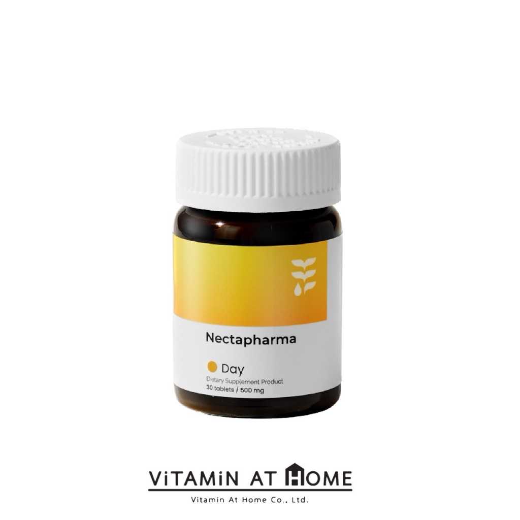 Nectapharma Day วิตามินบำรุงสมอง บำรุงสมอง เพิ่มความจำ วิตามินบี Vitamin B บีรวม B Complex