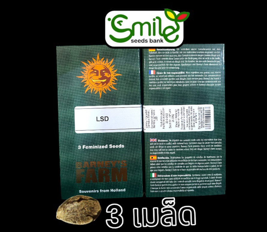 LSD Fem Winner Cup Pack 3 seeds