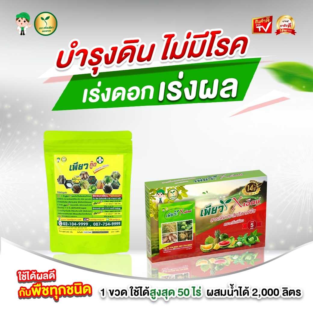 ชุด พืชใบเขียว ป้องกันแมลง ดินดีไร้โรค