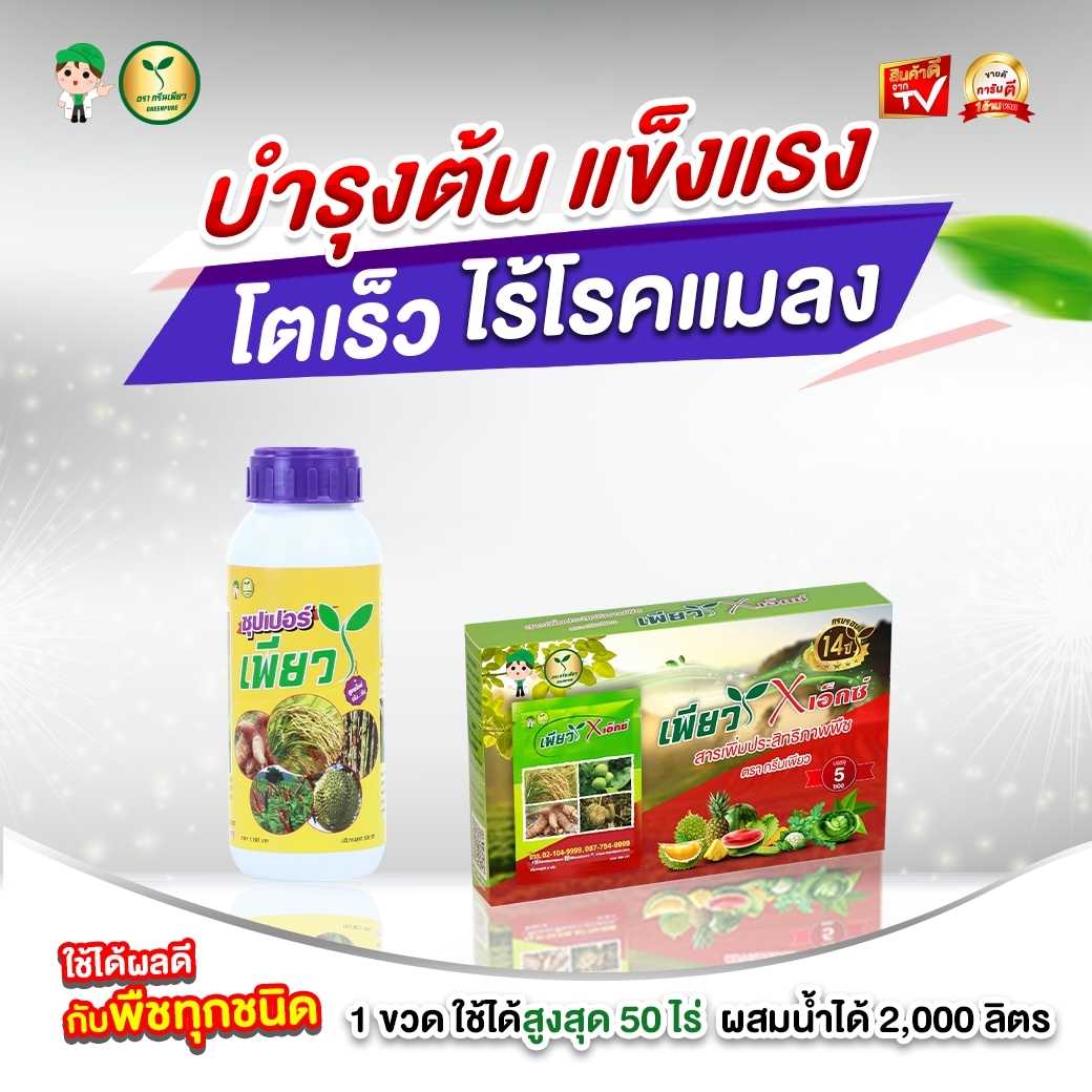 เช็ต บำรุงเสริมความแข็งแรง ป้องกันโรคแมลง