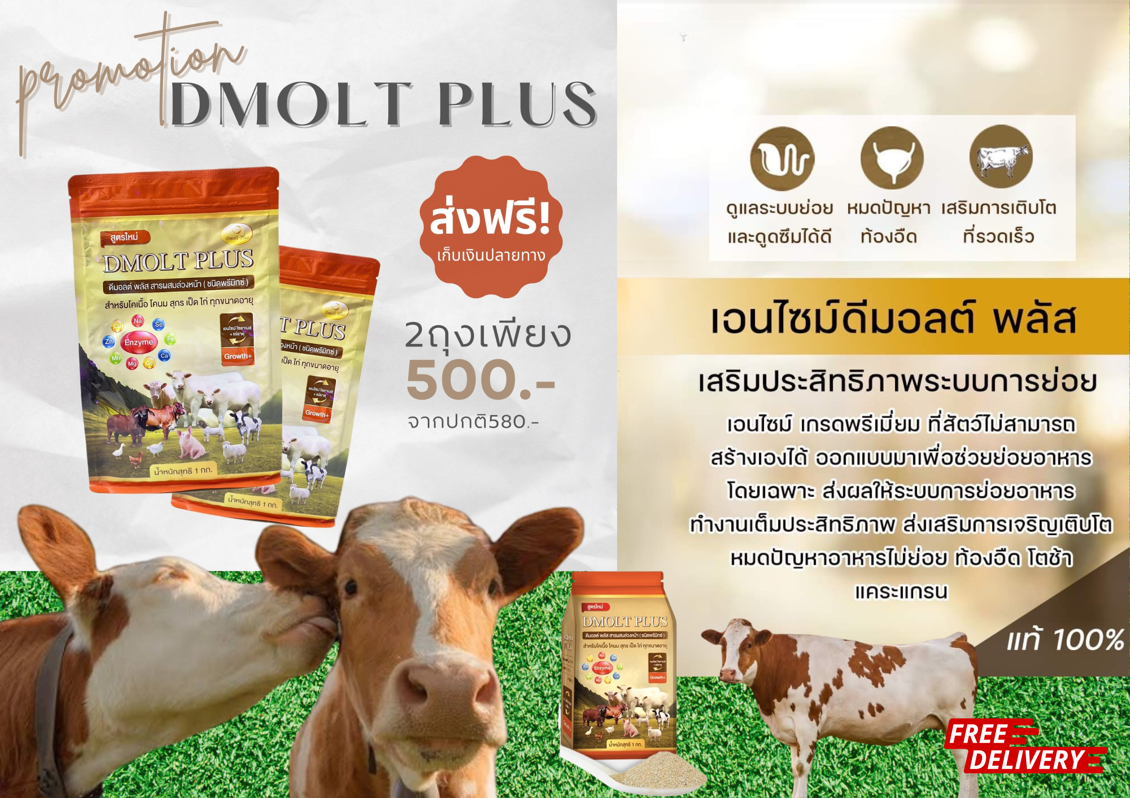 อาหารวัว DMOLT PLUS  ดีมอลต์ พลัส เอนไซม์และแร่ธาตุเพื่อการเจริญเติบโต