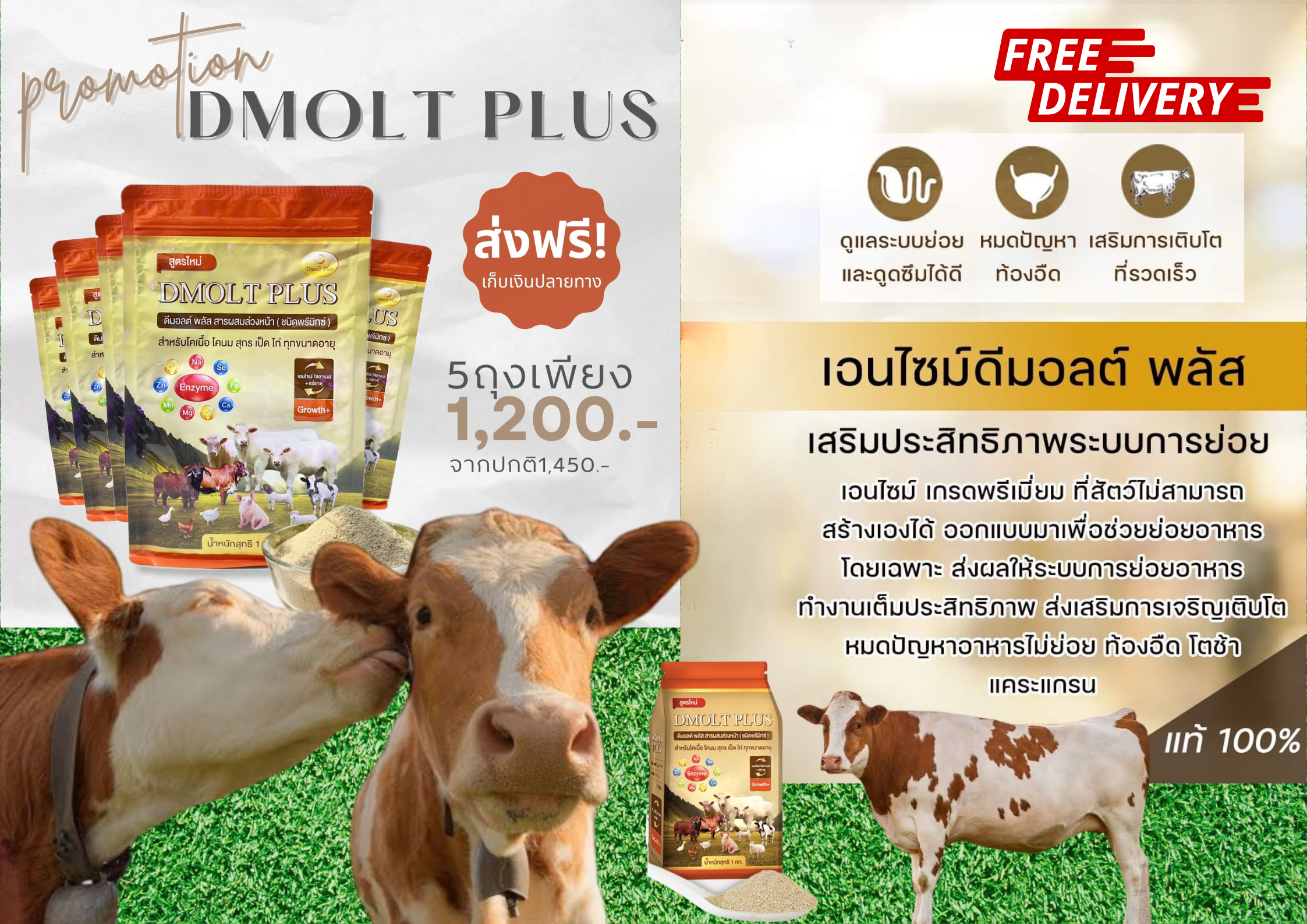 อาหารวัว DMOLT PLUS  ดีมอลต์ พลัส เอนไซม์และแร่ธาตุเพื่อการเจริญเติบโต