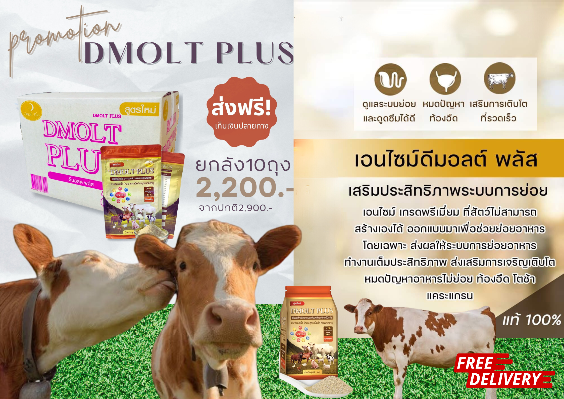 อาหารวัว DMOLT PLUS  ดีมอลต์ พลัส เอนไซม์และแร่ธาตุเพื่อการเจริญเติบโต