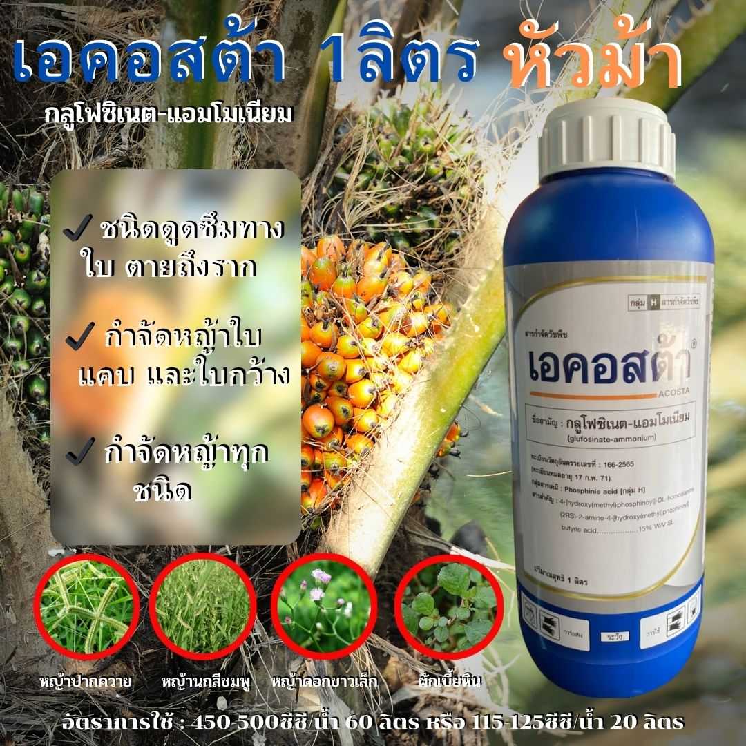 เอคอสต้า กลูโฟซิเนตแอมโมเนียม ขนาด 1ลิตร ตราหัวม้า ชนิดดูดซึม กำจัดวัชพืชใบกว้าง ใบแคบ