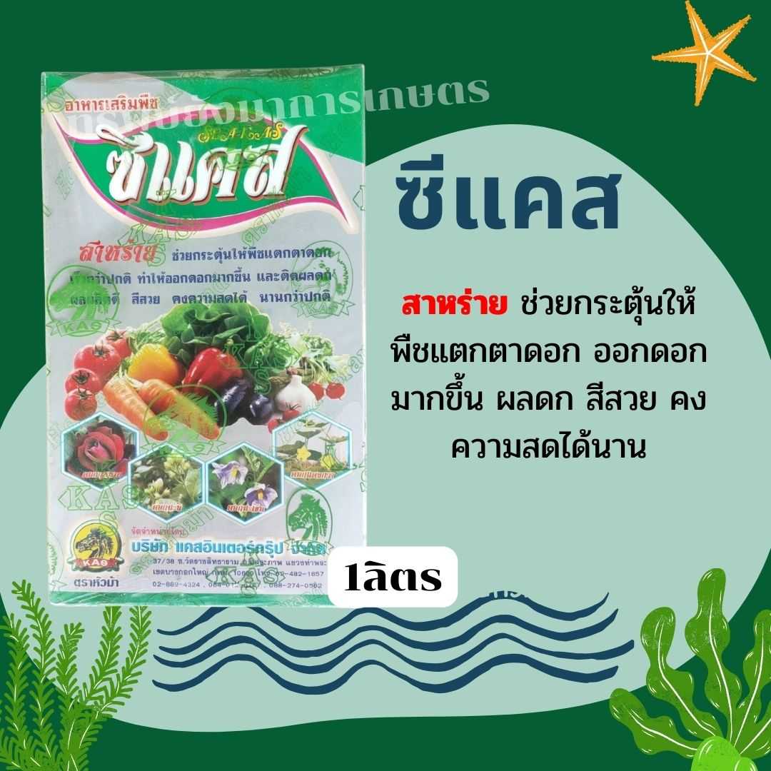 ซีแคส สาหร่ายทะเลเข้มข้น100 % 1ลิตร อาหารเสริมพืช ช่วยกระตุ้นตาดอก เพิ่มจำนวนและขนาดของดอกก