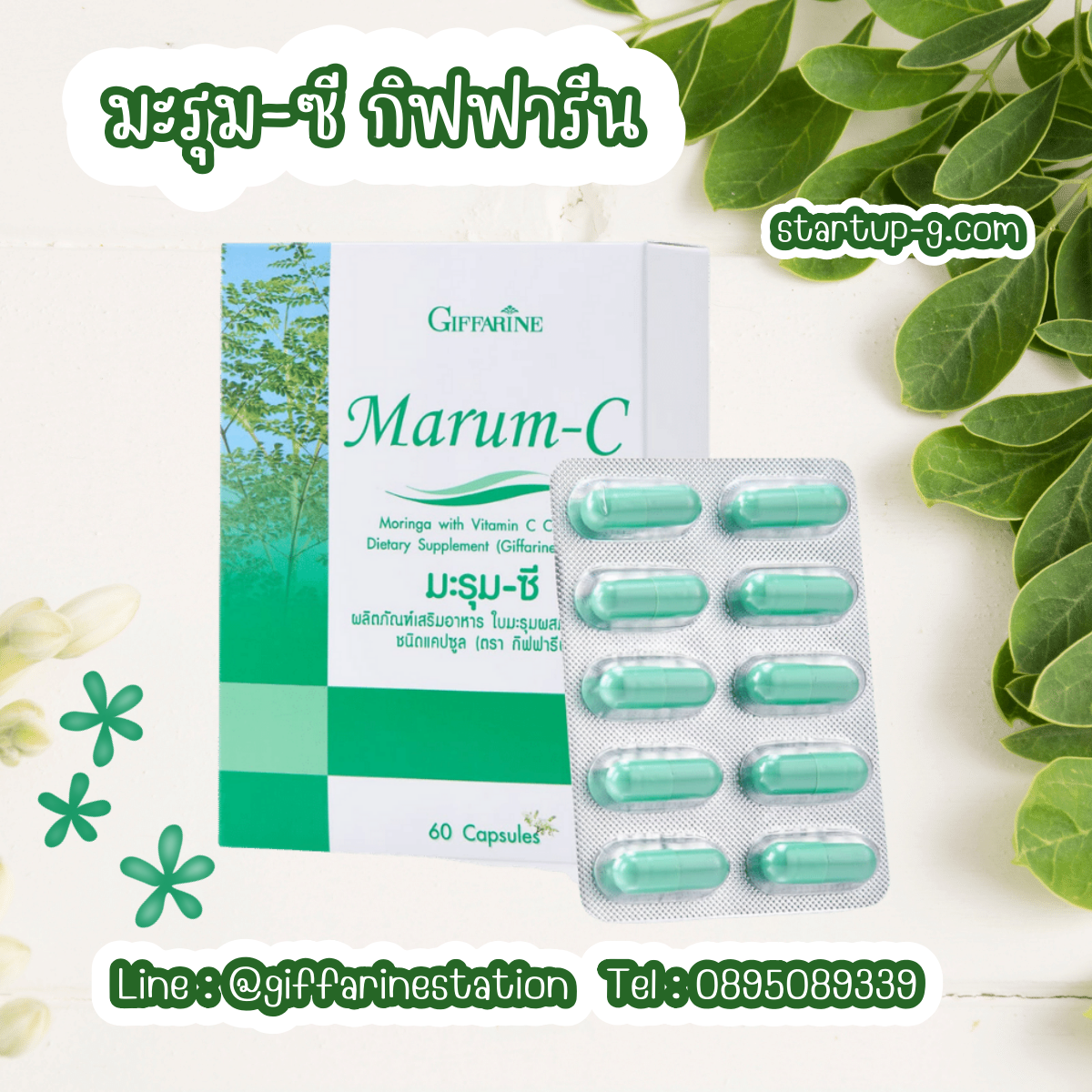 🌿 มะรุม-ซี 🌿  ผลิตภัณฑ์เสริมอาหารใบมะรุมผสมวิตามินซี ชนิดแคปซูล กิฟฟารีน Giffarine