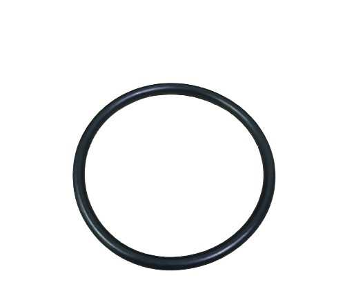 O RING G45
