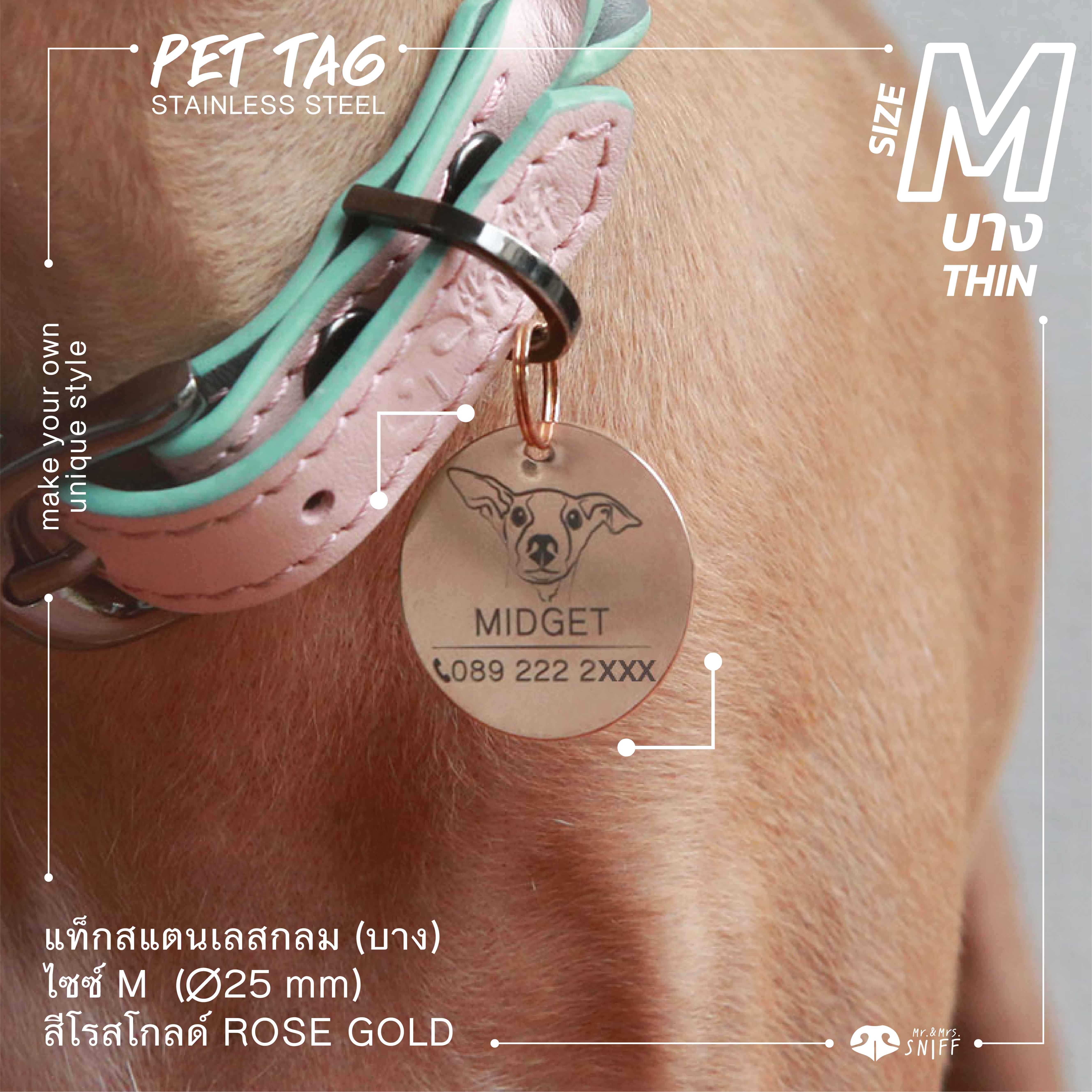 ป้ายชื่อสัตว์เลี้ยงสแตนเลสกลม (ขนาด M) (บาง) (สีโรสโกลด์) ป้ายชื่อสุนัข ป้ายชื่อแมว