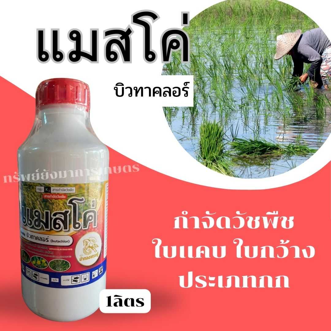บิวทาคลอร์ (แมสโค่ ตราม้าทองเศรษฐี)กำจัดวัชพืชในนาข้าว ขนาด1ลิตร