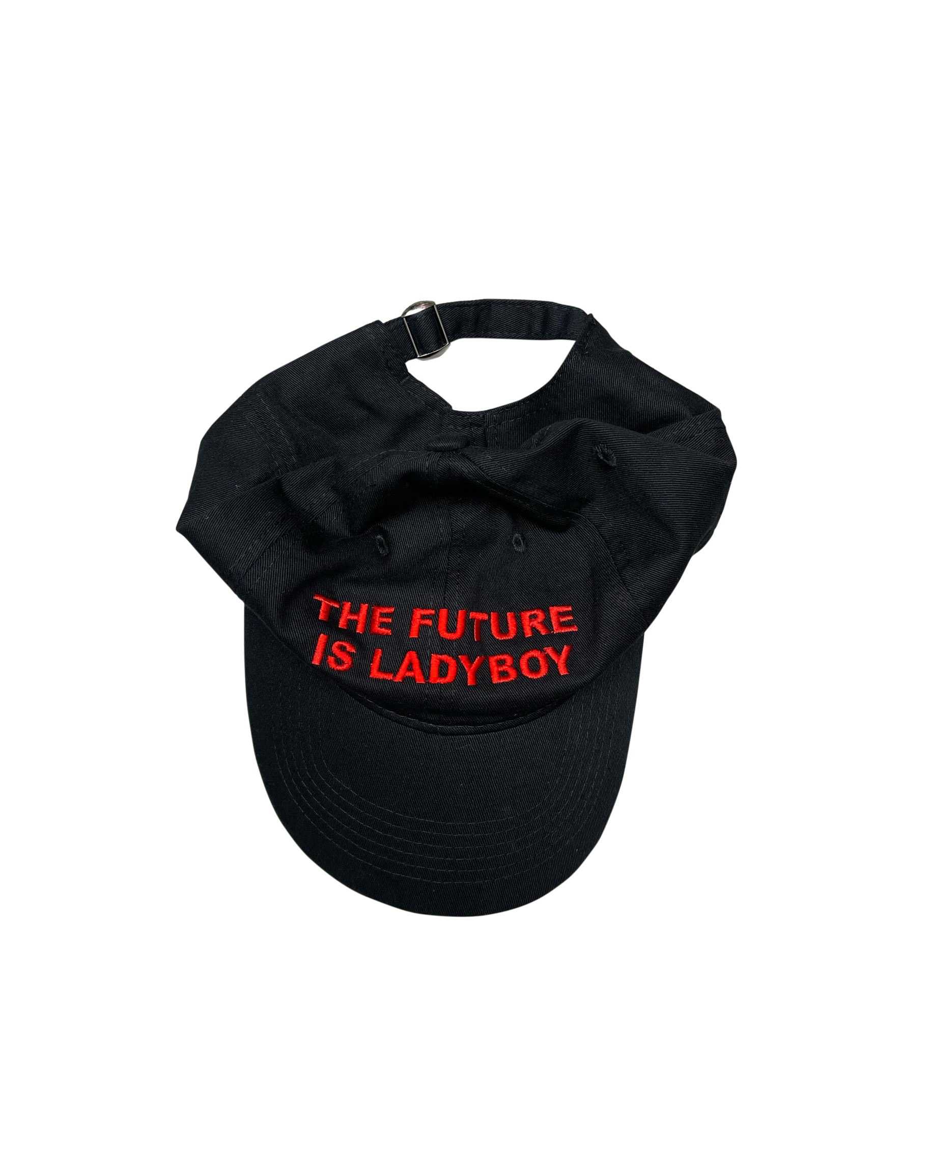 The Future is Ladyboy Cap