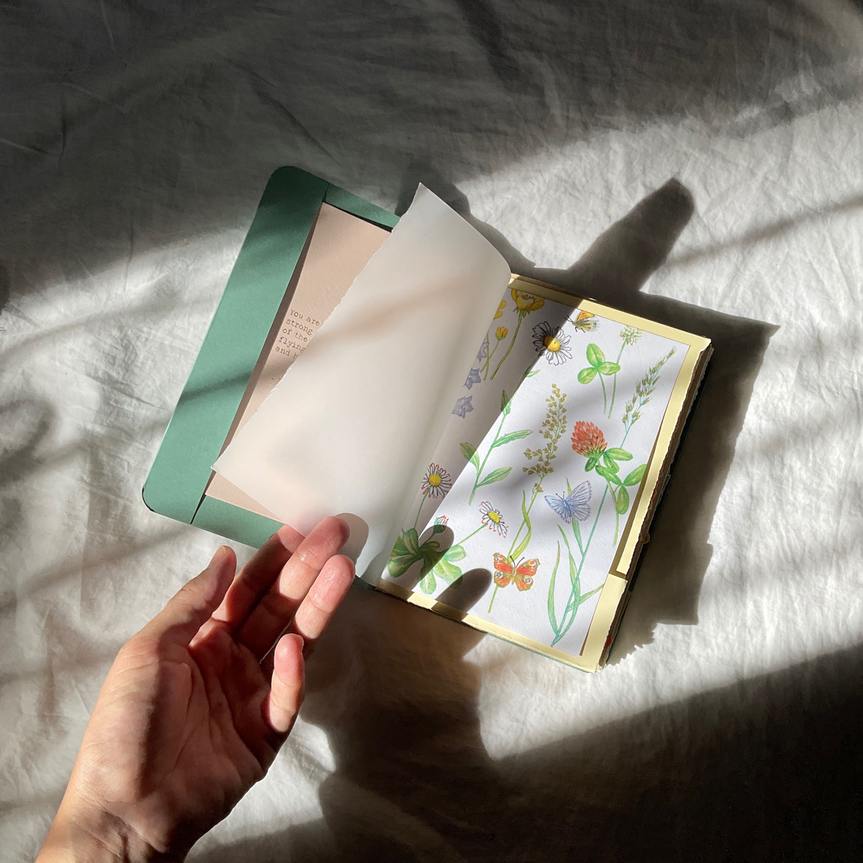 Matcha • Botanical 