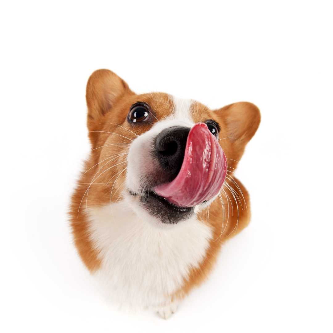 An Image