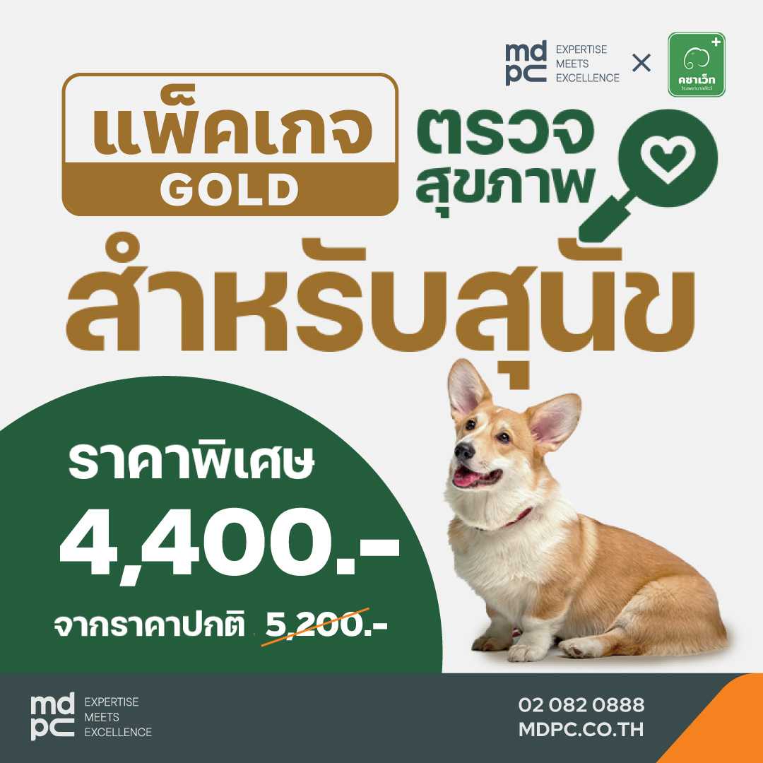 แพ็คเกจ ตรวจ สุขภาพ สำหรับสุนัข   Gold  10 รายการ  ที่ โรงพยาบาลสัตว์คชาเว็ท