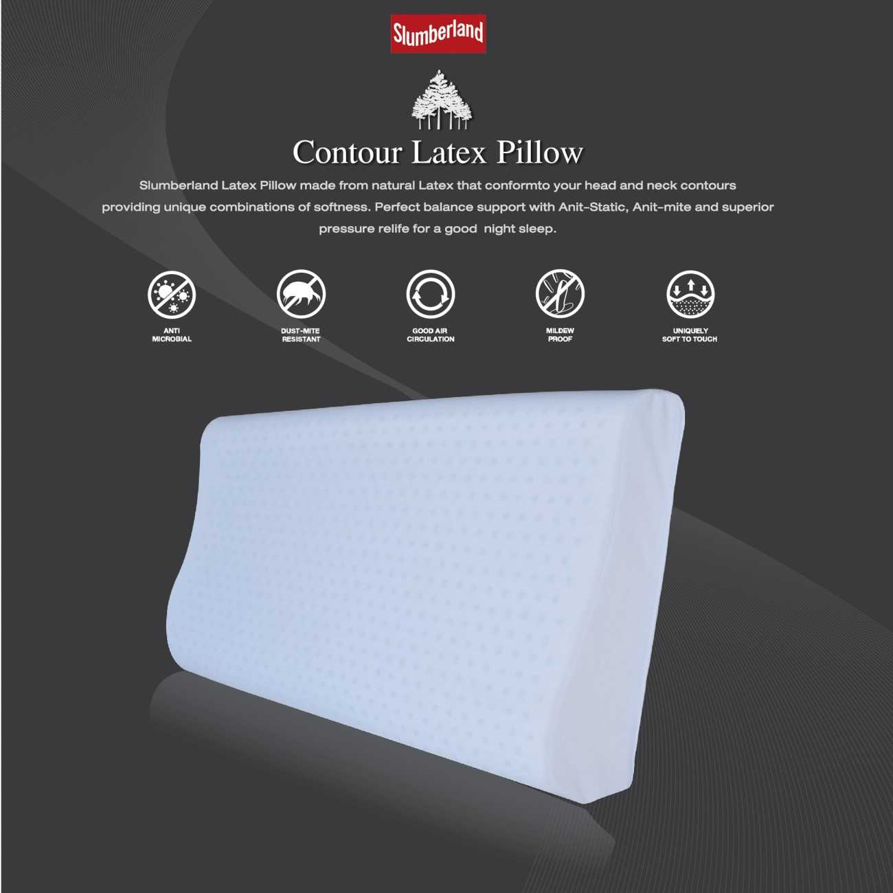 Contour Latex Pillow