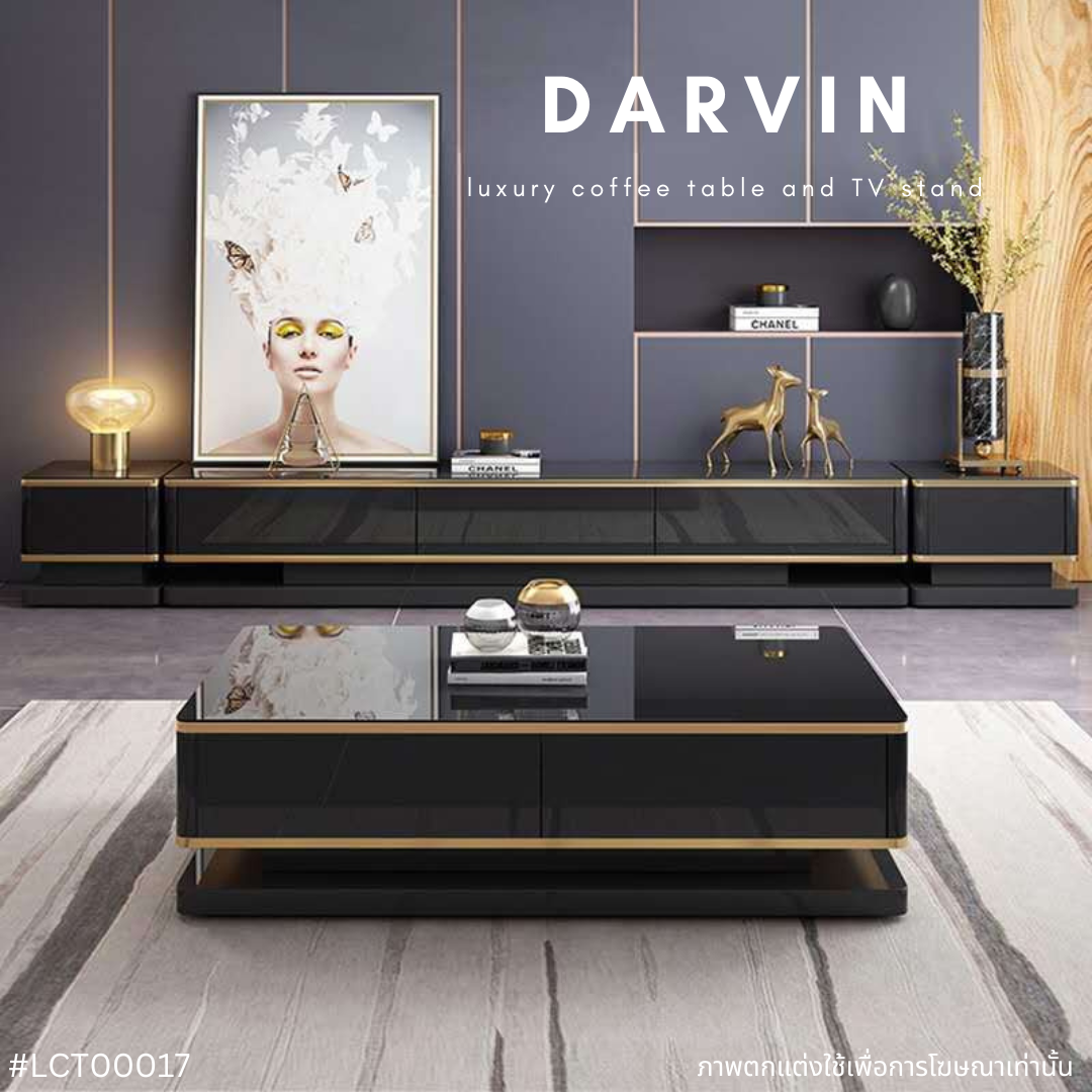 DARVIN Luxury Coffee Table and TV Stand