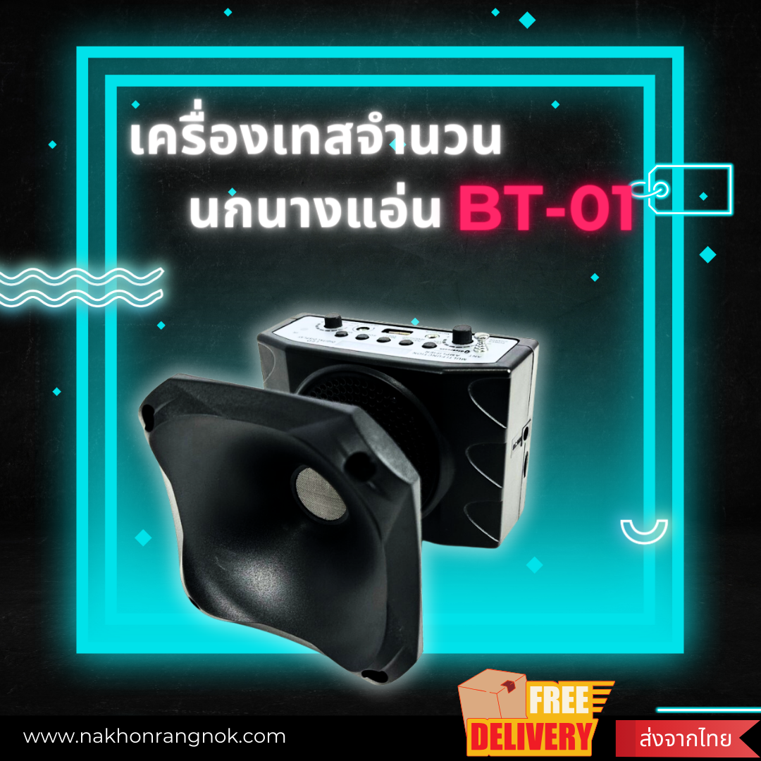 เครื่องเทสจำนวน นกนางแอ่น BT-01
