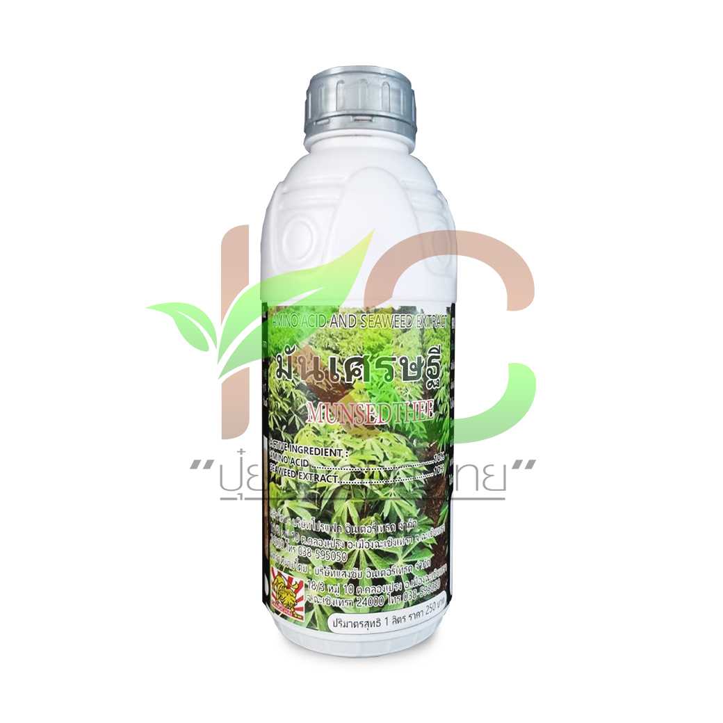 มันเศรษฐี (Amino Acid+Seaweed Extract) สำหรับมันสำปะหลัง 1ลิตร