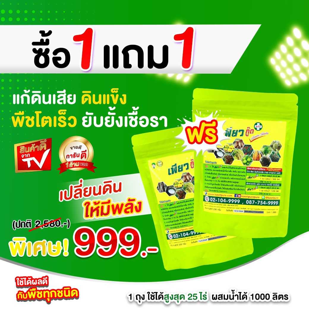 ซื้อ 1ฟรี 2 บำรุงดิน แก้เชื้อรา จบปัญหาพืช
