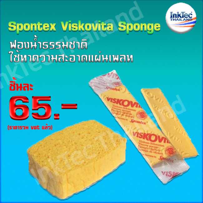 ฟองน้ำทำความสะอาดเพลท ฟองน้ำเช็ดเพลท Spontex Viskovita Sponge ฟองน้ำธรรมชาติ ฟองน้ำถูเพลท