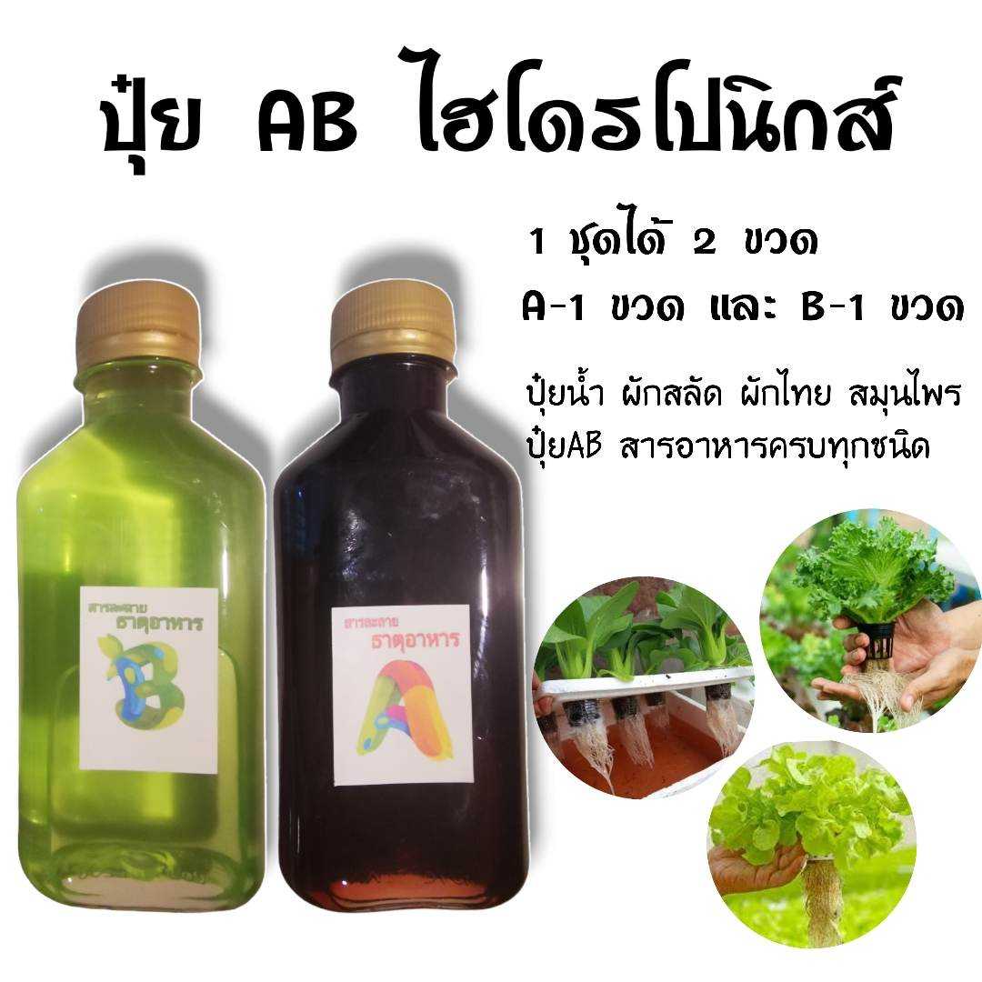 ปุ๋ยไฮโดรโปรนิกส์ ปุ๋ยน้ำ AB ขนาด 200cc ผักสลัด ผักไทย สูตรระเบิดราก
