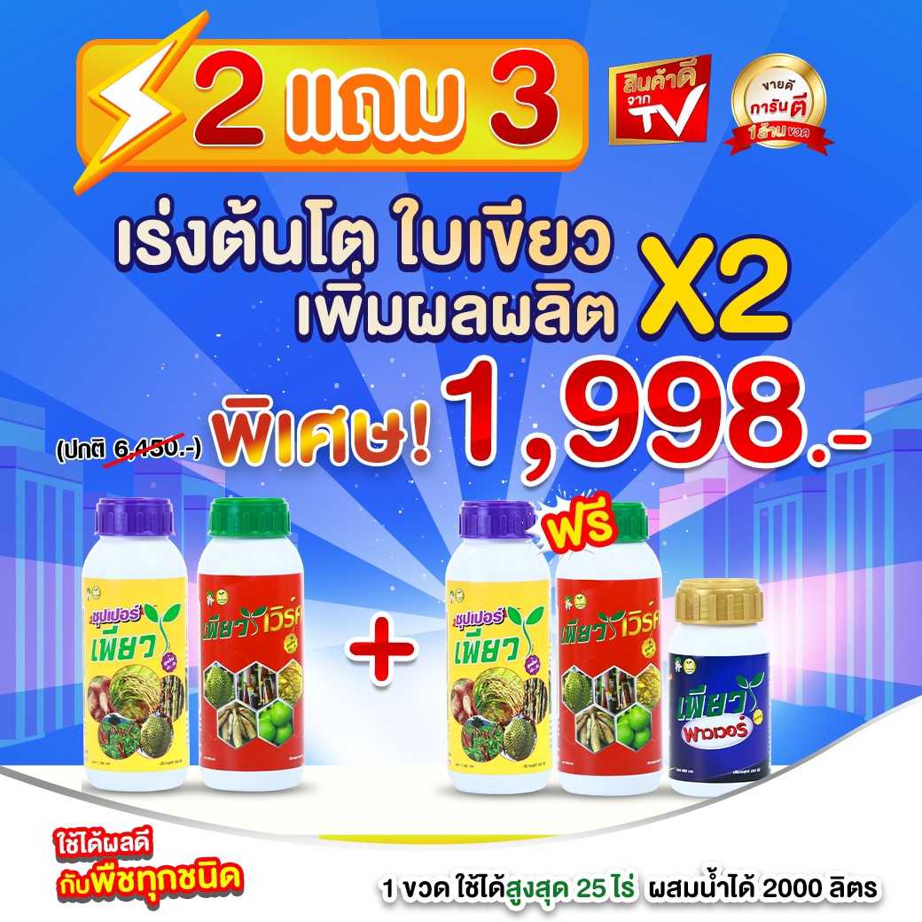 เพียว ซื้อ 2 ฟรี 3 เร่งต้นโต ใบเขียว เพิ่มผลผลิตคูณ2