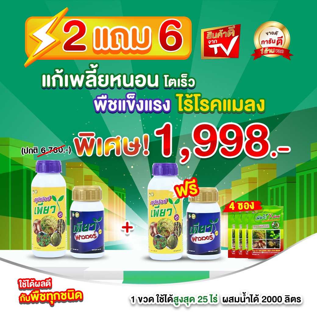 เพียว ซื้อ 2ฟรี 3 พืชโตไว ไร้เพลี้ยหนอน ไม่มีเชื้อราแมลงกวน