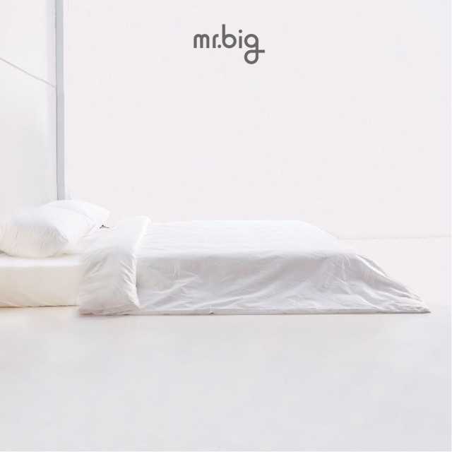 mr.big All Season Elasta Duvet Single Size