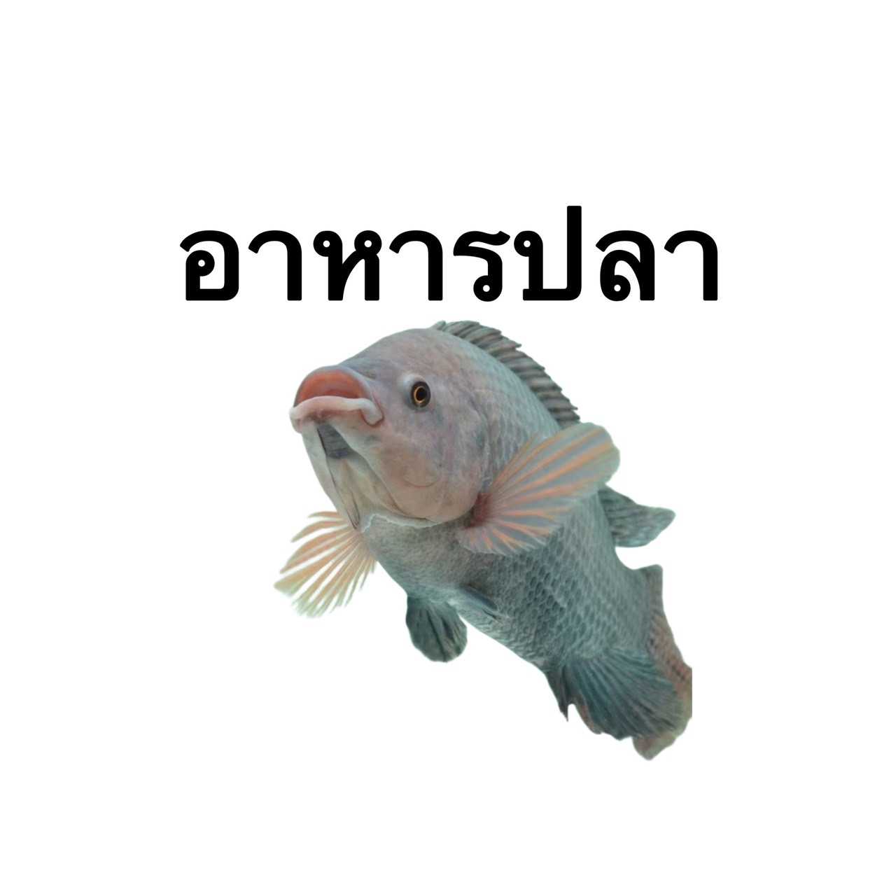 An Image
