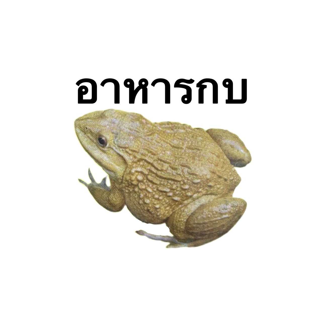 An Image