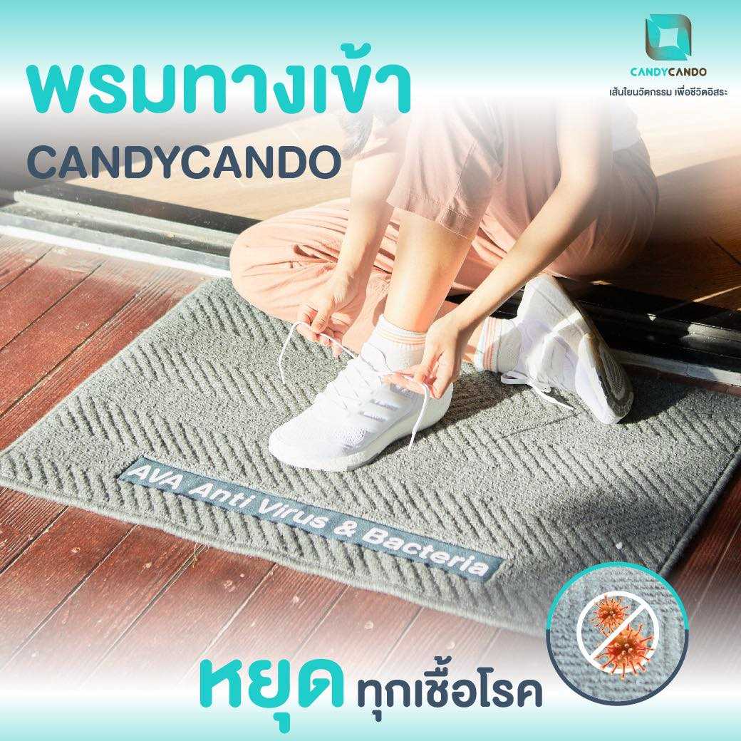 พรมทางเข้า พรมเช็ดเท้า พรมปูพื้น พรมกำจัดเชื้อไวรัส Zinc Oxide Nano Entrance Mat