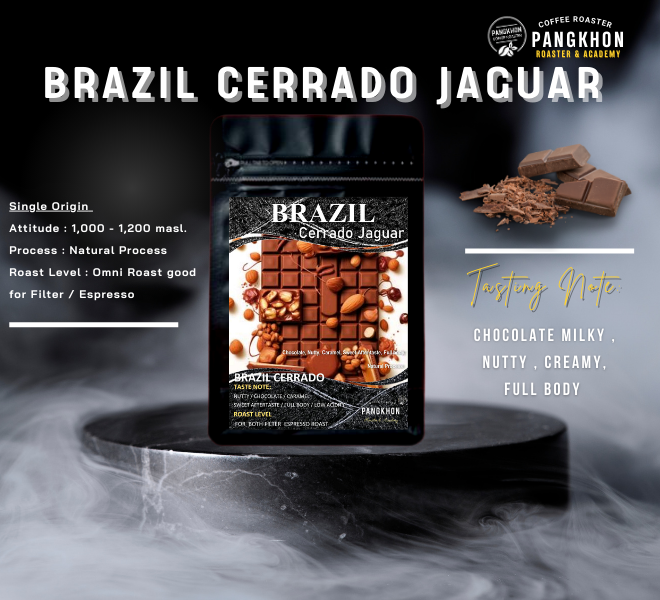 BRAZIL CERRADO JAGUAR