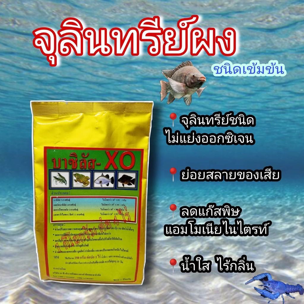 ￼จุลินทรีย์บ่อปลา บาซิลลัส หัวเชื้อเข้มข้น สำหรับบ่อเลี้ยงสัตว์น้ำ บำบัดน้ำเสีย 1 กิโลกรัม