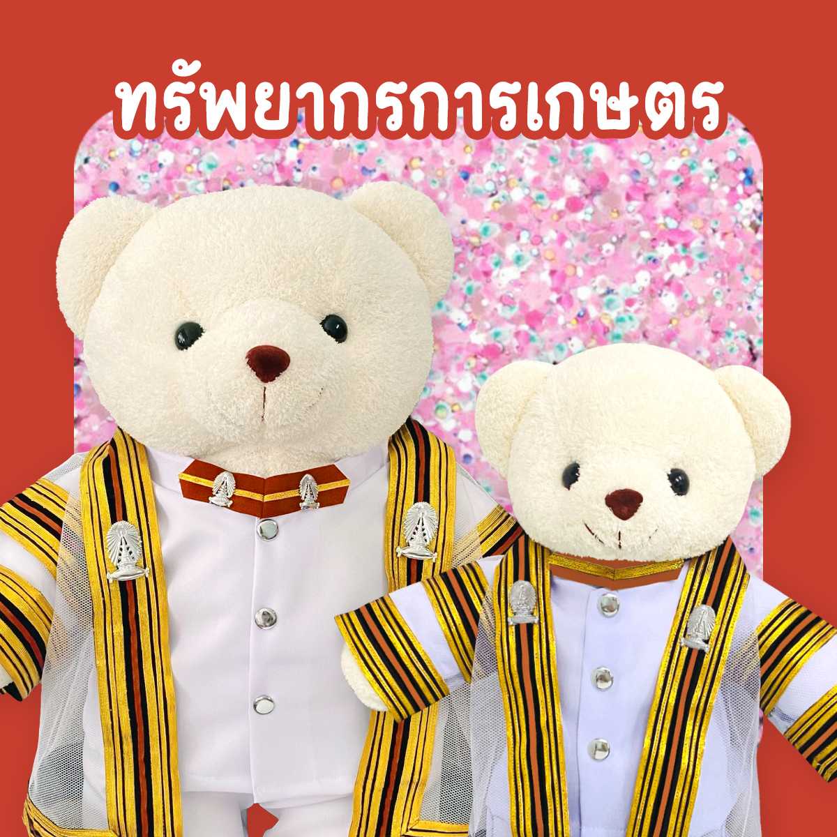 ตุ๊กตาหมีชุดครุย ม.จุฬา คณะทรัพยากรการเกษตร