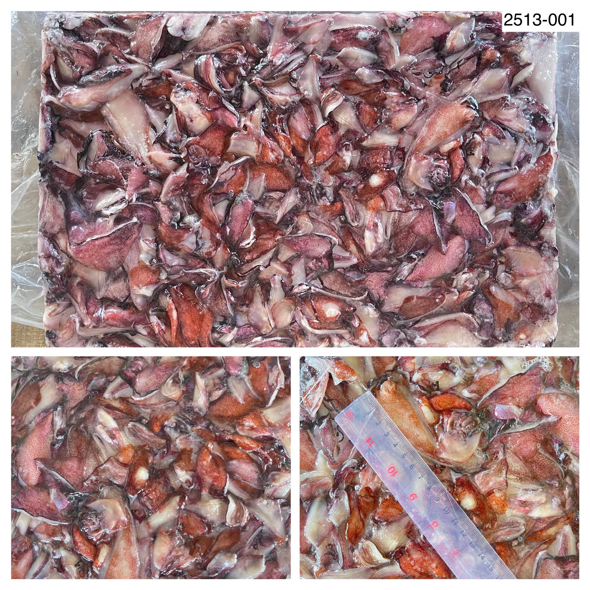 2513-001 ปีกหมึกกล้วยไทย (10กก.)