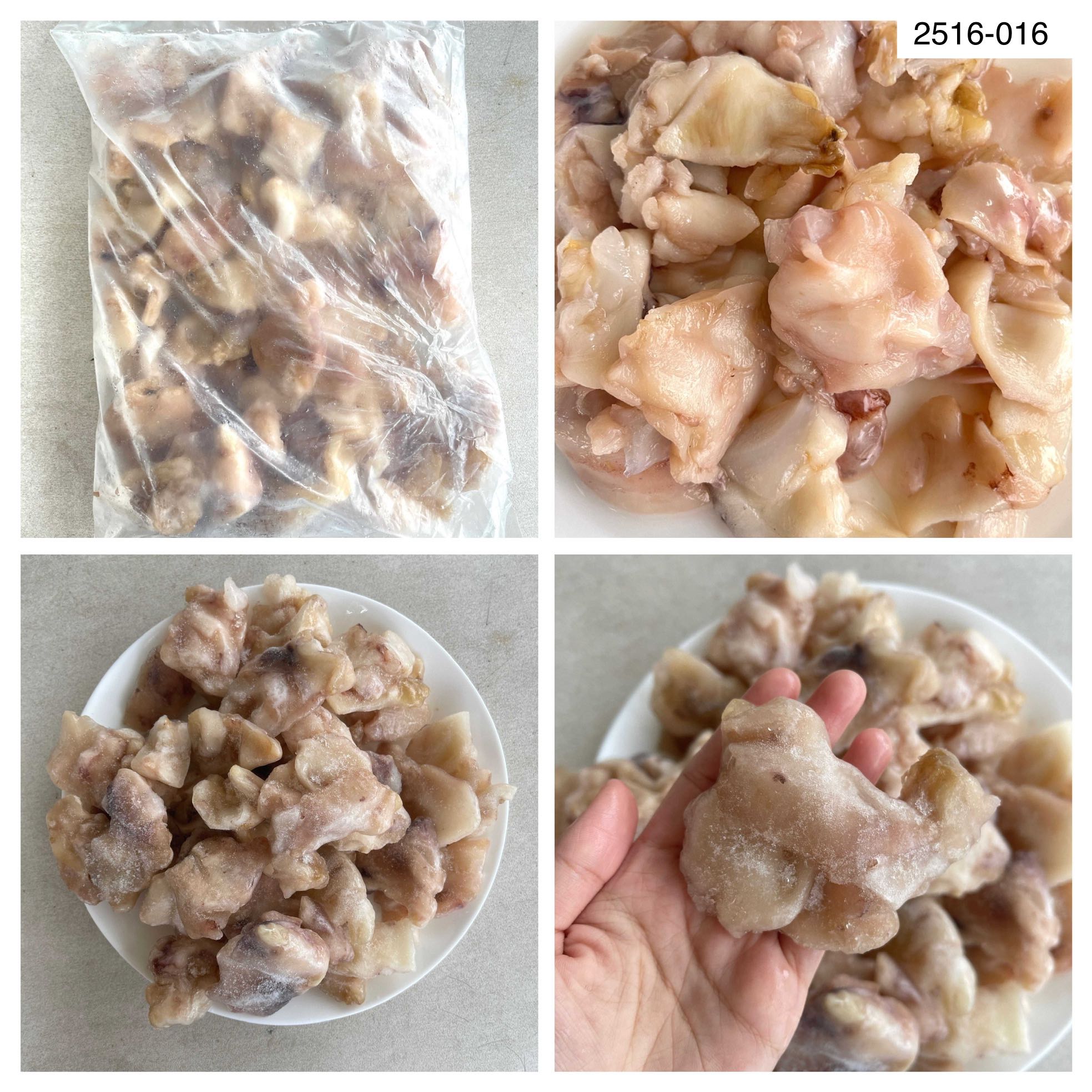 2516-016 คอหมึกหั่น 12x1 กก.