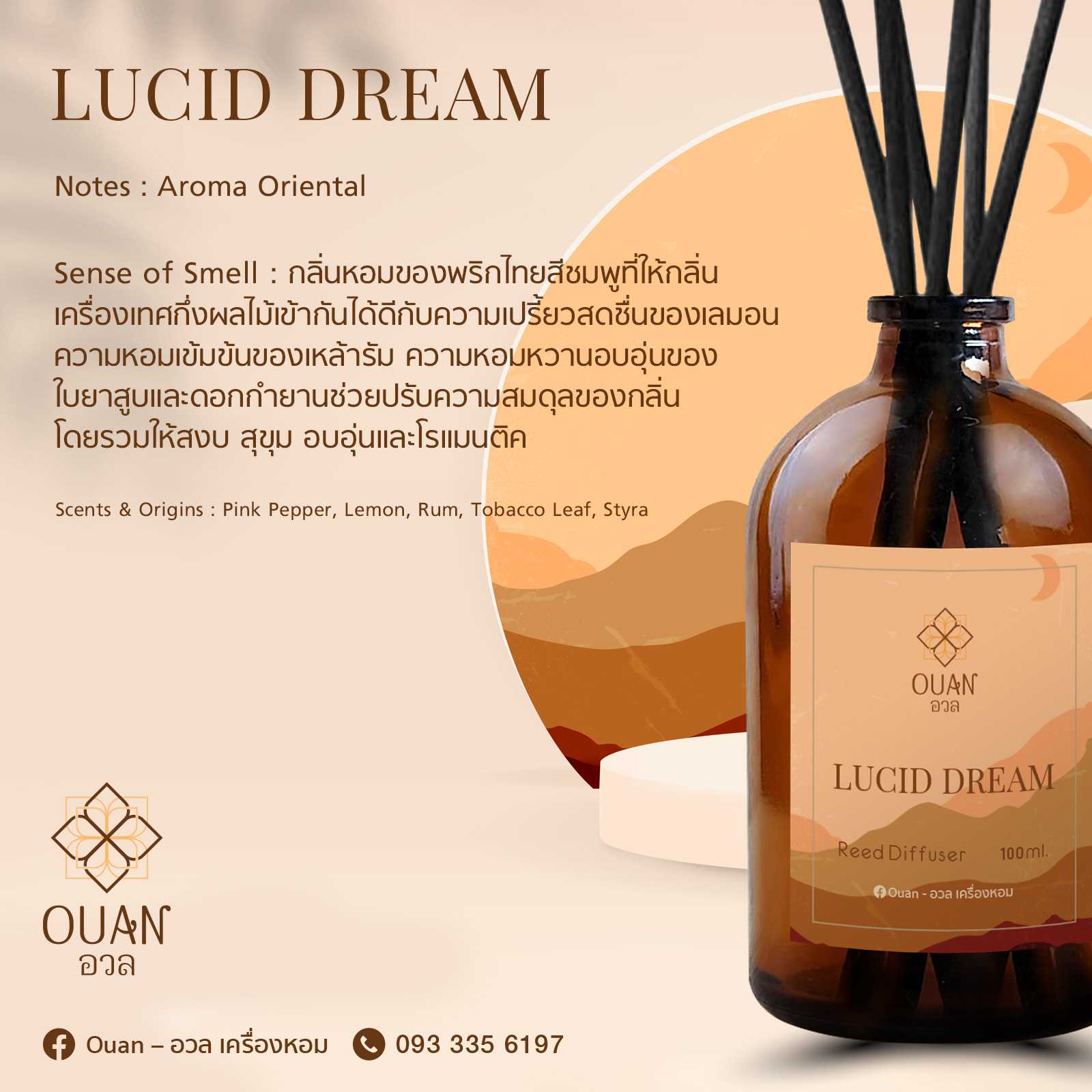 Reed Diffuser (100 ml) กลิ่น Lucid Dream สงบ อบอุ่น โรแมนติค | อวล | ก้านไม้หอม ก้านไม้หอมปรับอากาศ