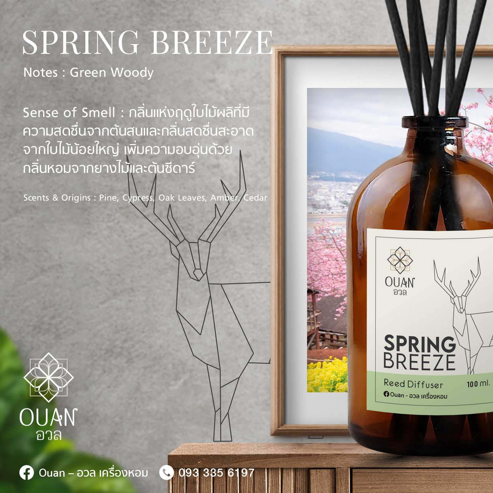 Reed Diffuser (100 ml) กลิ่น Spring Breeze หอม สะอาด อบอุ่น | อวล | ก้านไม้หอม ก้านไม้หอมปรับอากาศ