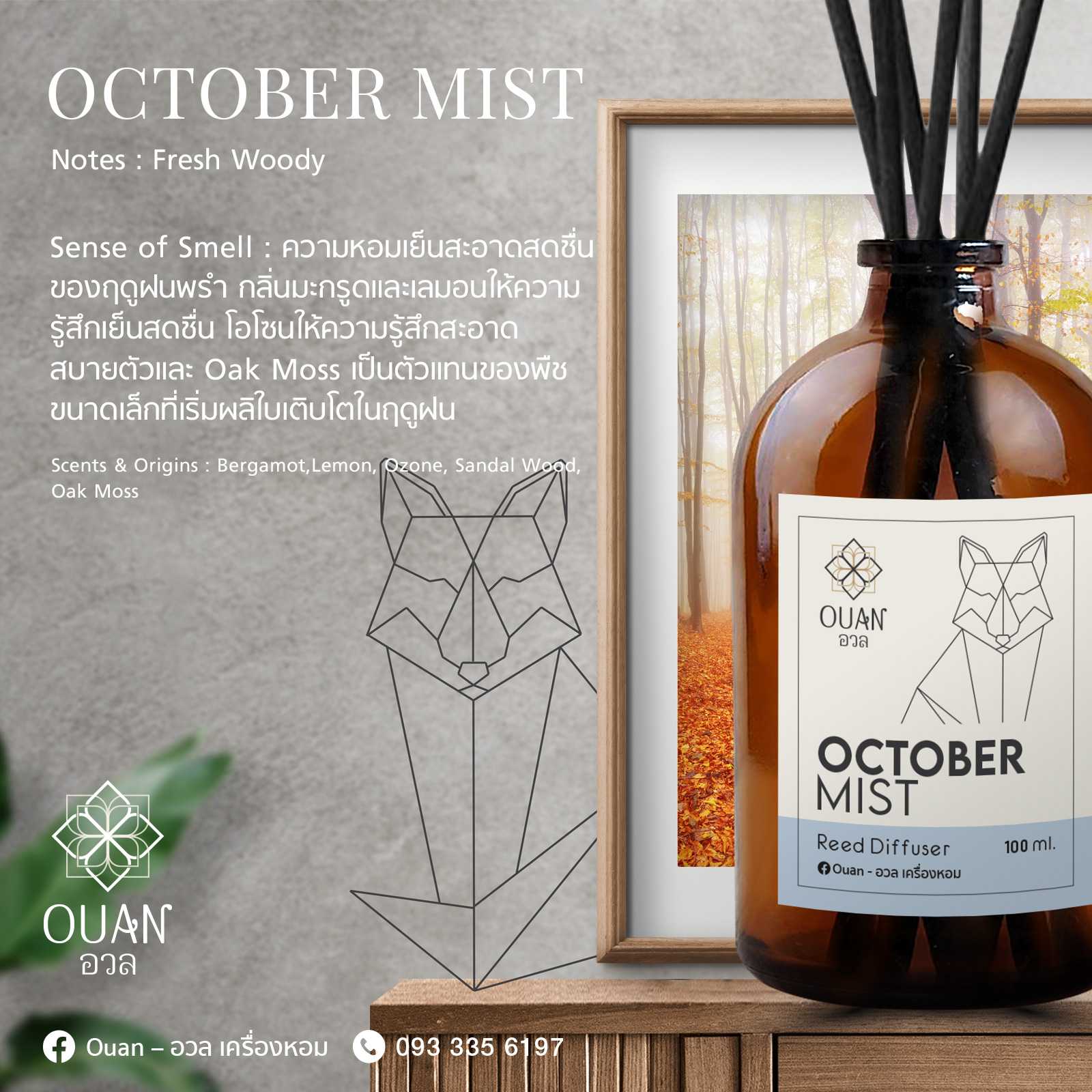 Reed Diffuser (100 ml) กลิ่น October Mist เย็น สดชื่น สงบ | อวล | ก้านไม้หอม ก้านไม้หอมปรับอากาศ