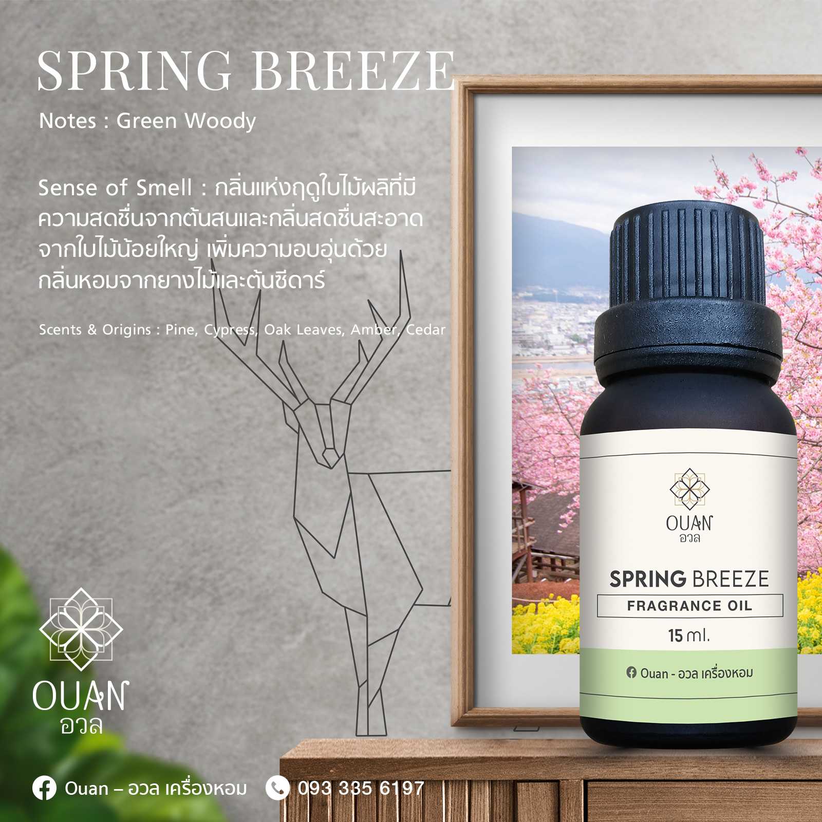 Fragrance Oil กลิ่น Spring Breeze หอม สะอาด อบอุ่น | อวล | น้ำมันหอมแบบหยด ขนาด 15 ml.