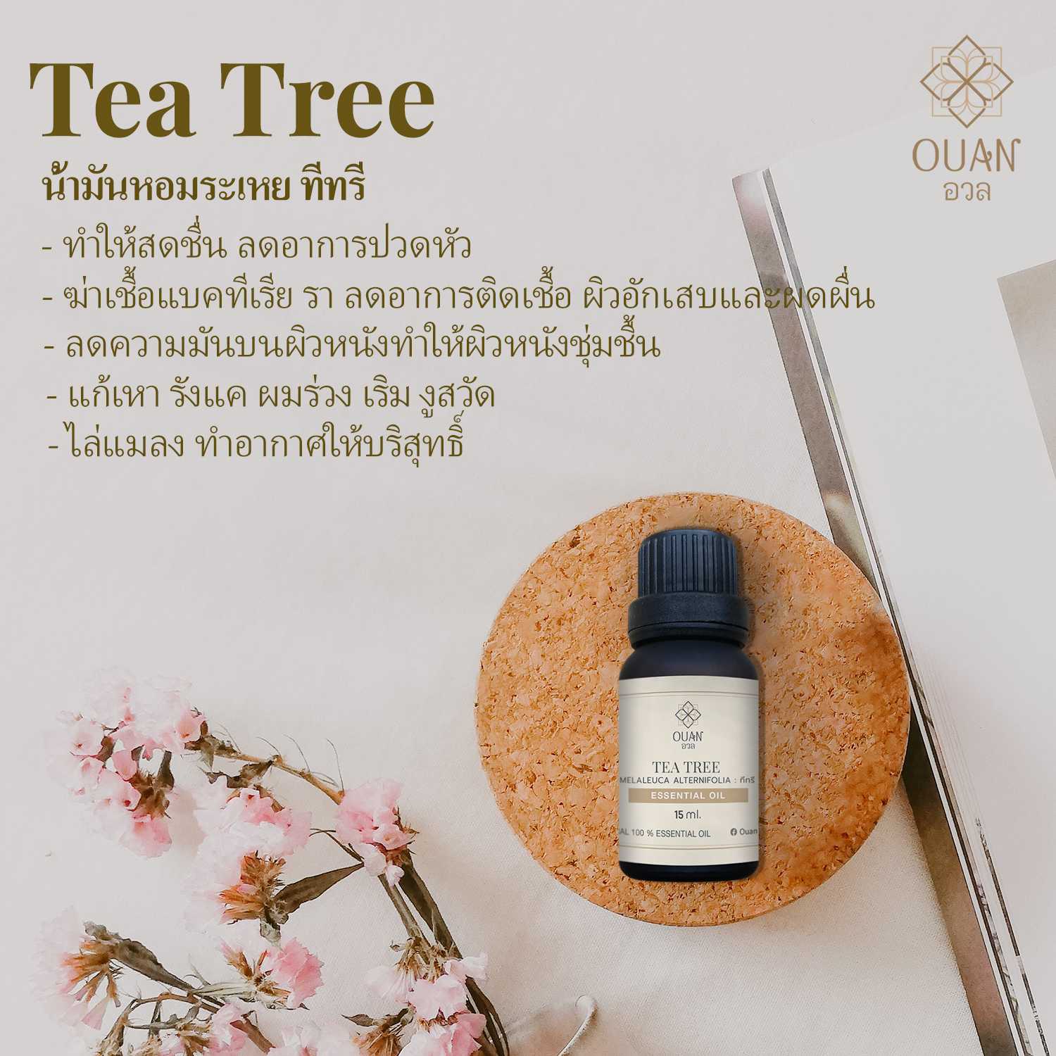 Pure Essential Oil น้ำมันหอมระเหย 100% ทีทรี Tea Tree | 15 ml. พร้อมจุกหยดในตัว | อวล