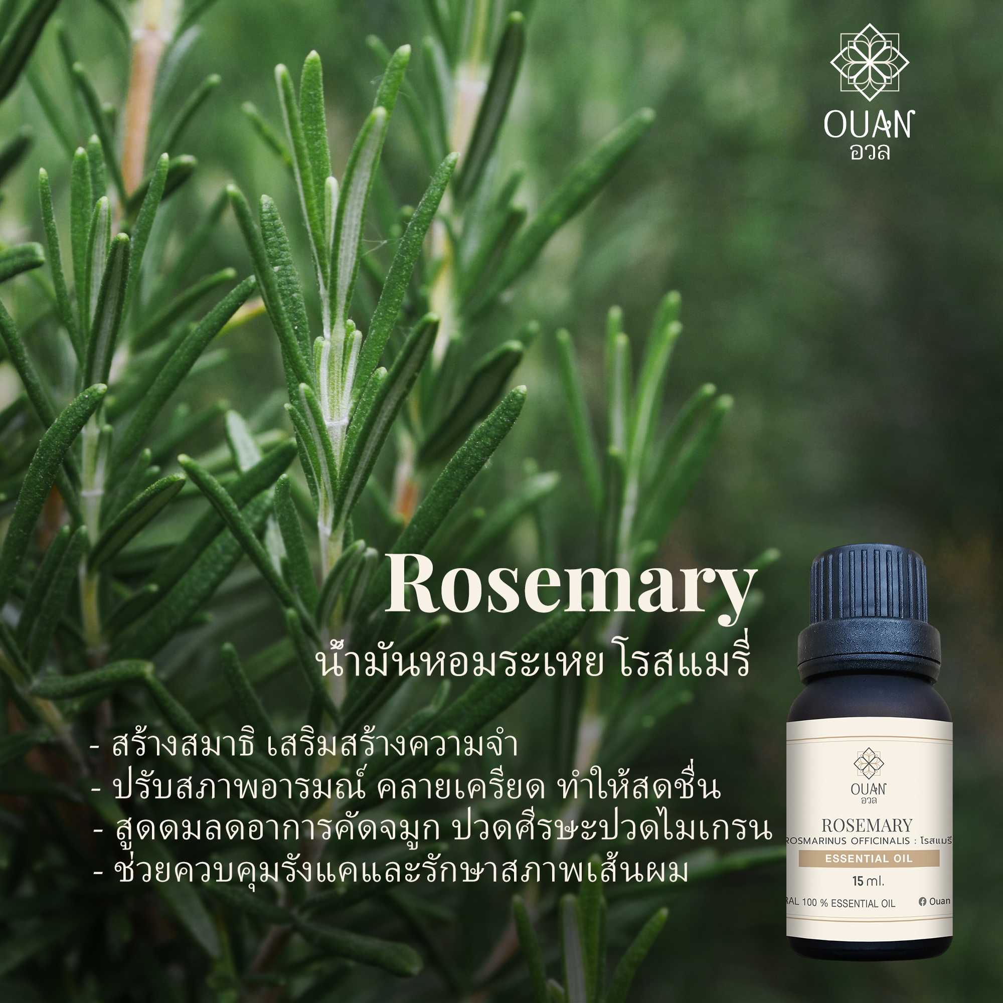 Pure Essential Oil น้ำมันหอมระเหย 100% โรสแมรี่ Rosemary | 15 ml. พร้อมจุกหยดในตัว | อวล