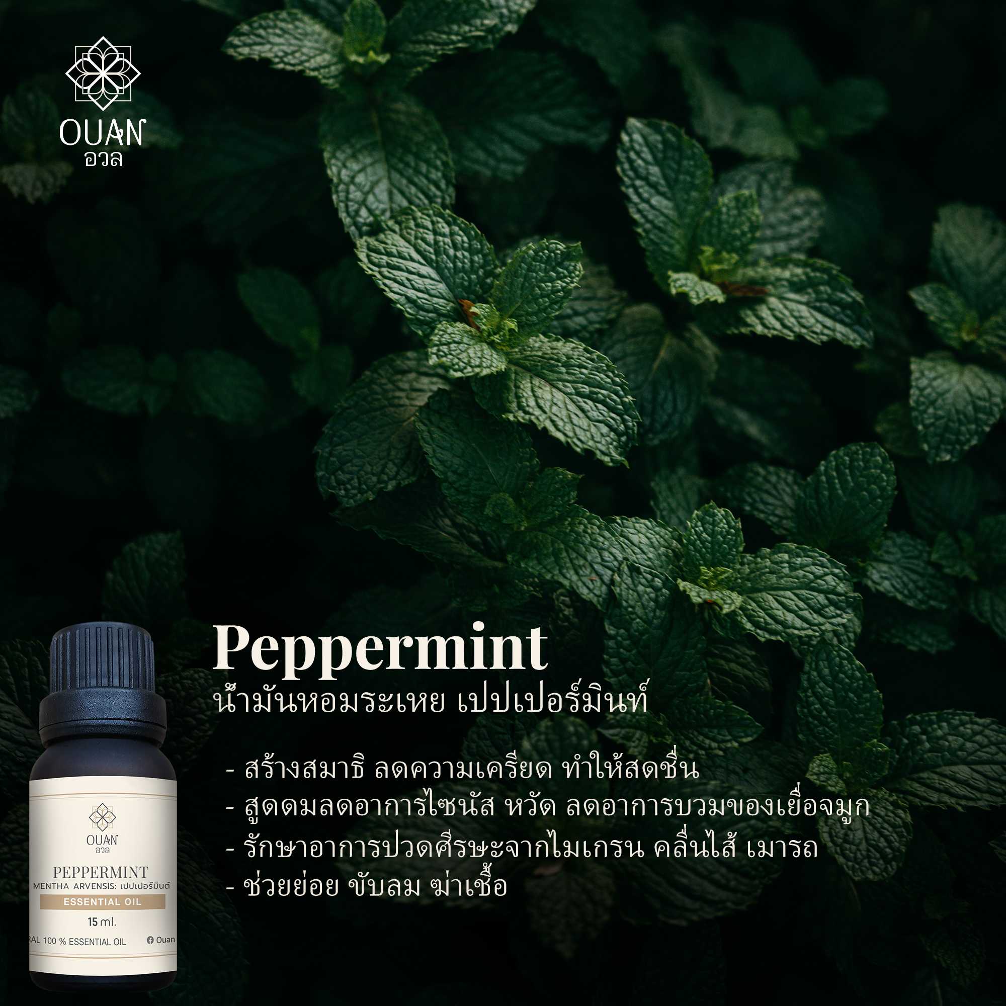 Pure Essential Oil น้ำมันหอมระเหย 100% เปปเปอร์มินท์ Peppermint | 15 ml. พร้อมจุกหยดในตัว | อวล